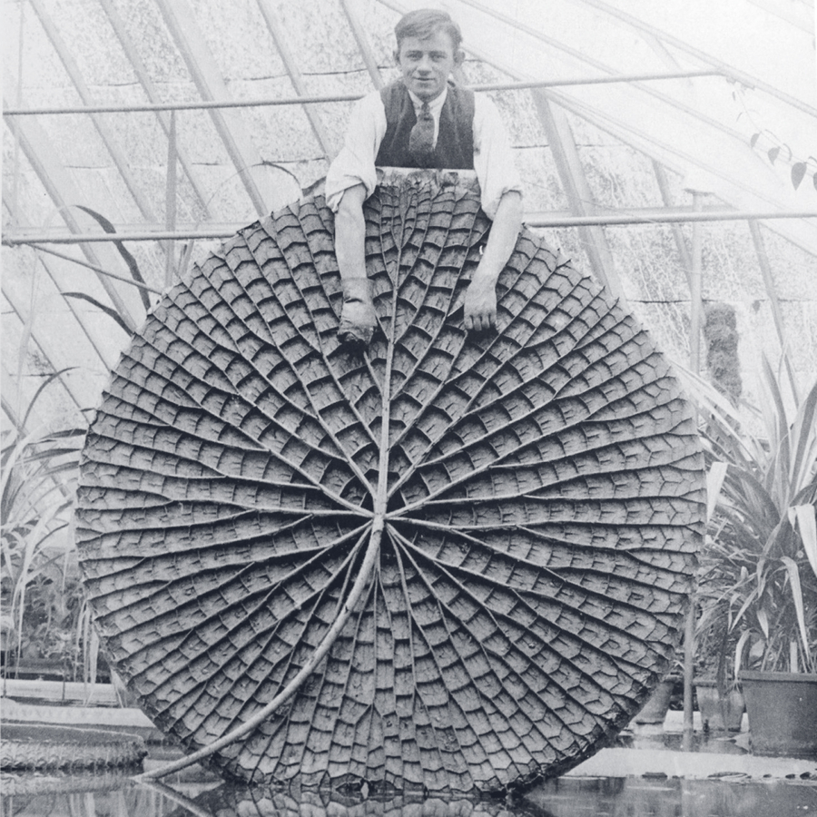 Treborth Botanic Gardens